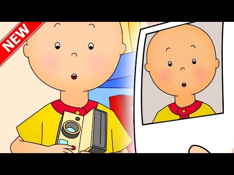 ★ Caillou Takes a Photo ★ Funny Animated Caillou | Cartoons for kids | Caillou