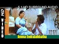 Amma Endralaikkatha Mannan Remastered 5 1 Audio Ilayaraja
