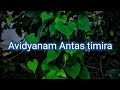 Avidyanam Anthasthimira ringtone#Ringtone lovers#album song