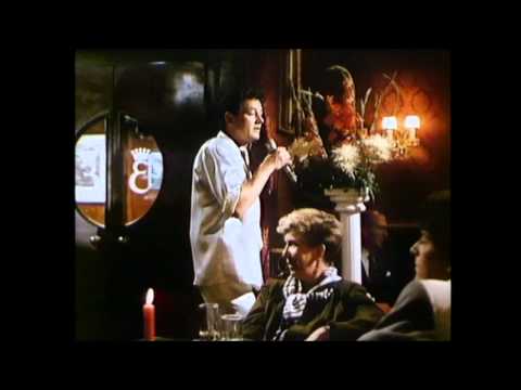 Wolfgang Ambros - Du verstehst mi ned (orig. Video)