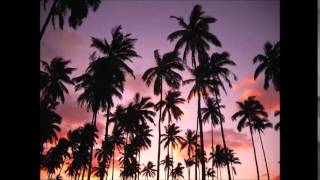 No One Will Cry (Chillwave Mix)