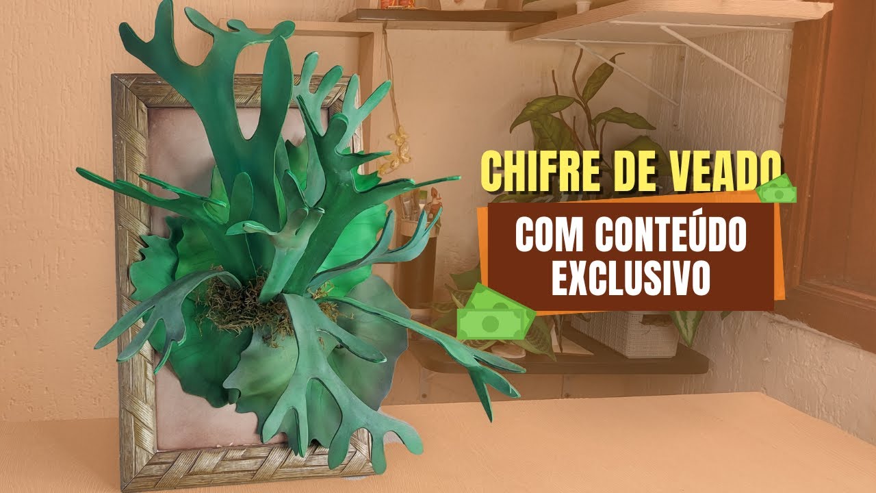 751 - Chifre de Veado | Prof Janaina Cordeiro Artes