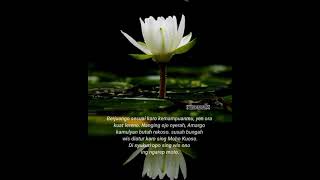 Download lagu story wa psht tembang kidung kolosebo mp3