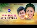Gori Jhumuru Jhumuru Tora Pada Paunji -Romantic Film Song | Sonu Nigam,Pamela Jain |To Akhi Mo Aaina