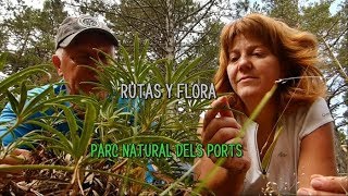 RUTAS Y FLORA. PARC NATURAL DELS PORTS