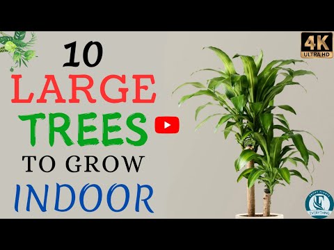 lori romero ransom canyon