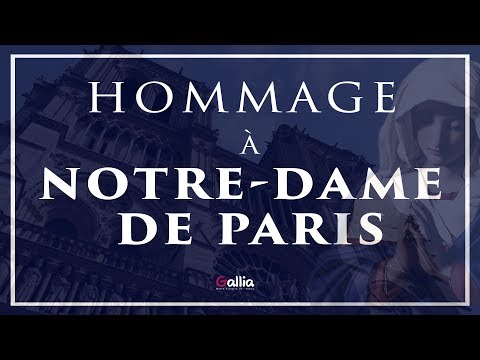 Hommage à Notre-Dame de Paris