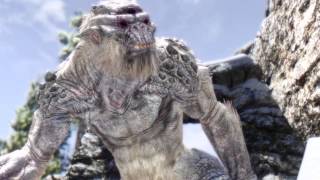Skyrim Slideshow