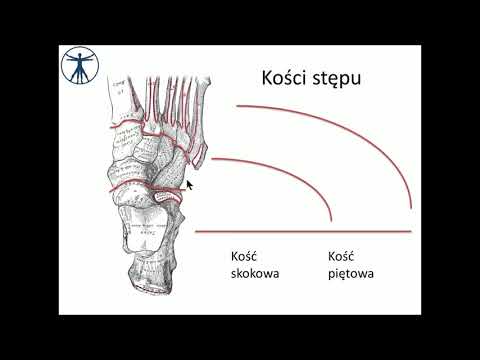Koślawe kolana w noworodka zdjęcie Obuwie ortopedyczne po zabiegu halyus koślawego
