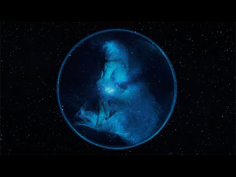 Video thumbnail for The Art of Being Alone