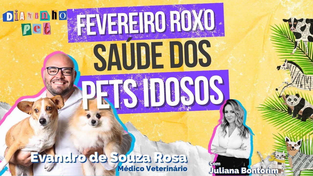 Fevereiro roxo: veterinário fala sobre a saúde dos pets idosos 