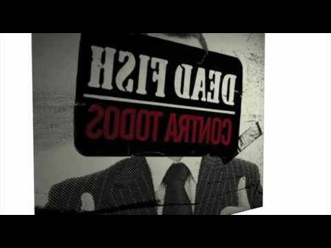 Asfalto video