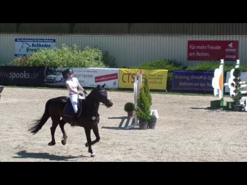 Winshope Hof Dickmann 2017