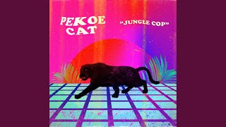 Jungle Cop Music Video