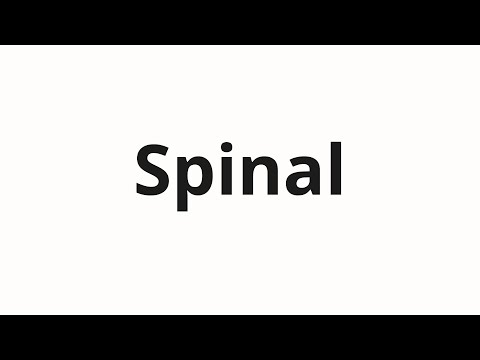 How to pronounce Spinal