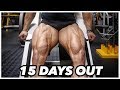 BODYBUILDING MOTIVATION - REGAN GRIMES 15 DAYS OUT