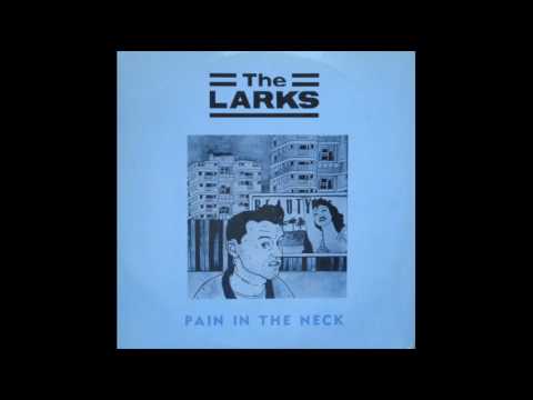 The Larks - Maggie Maggie Maggie (Out Out Out)