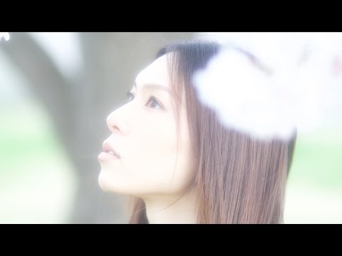 春よ、来い Song by HINA【弘前SAKURA No.1】