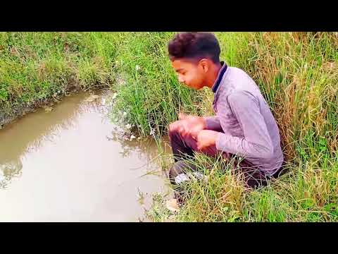 Goa beach  whatsapps  status