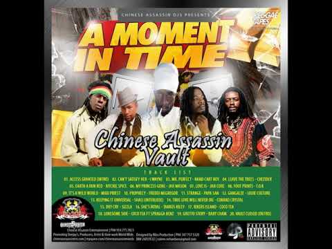 Chinese Assassin Djs A Moment In Time