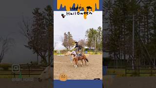 ハロウィンホースショー ユニコーンとミイラ男 #ヒロユキモチダホースマンシップ #horse #北海道 #乗馬 #馬 #ハロウィン #romanriding #クォーターホース