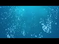 Underwater Bubbles Background Footage