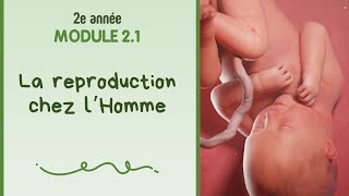 La reproduction de l'Homme