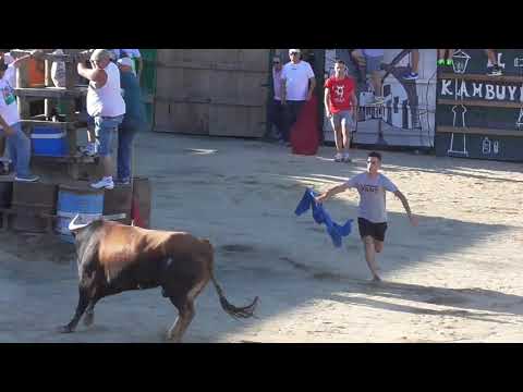 Festejos taurinos - Primer dia - Alko TV