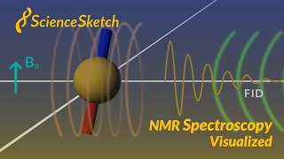 NMR spectroscopy visualized