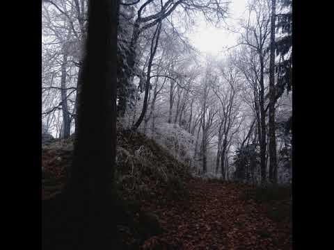 Downscope - Gefrorener Wald III