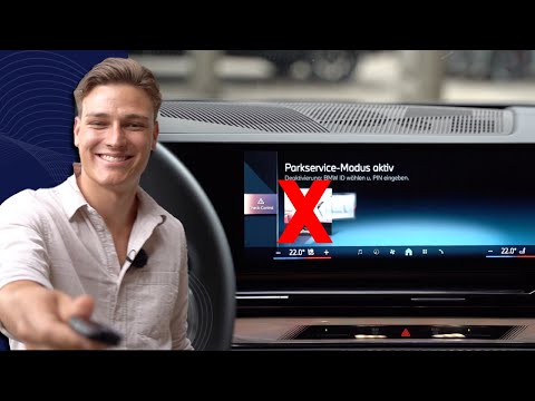 Vogel Automobile  – Das solltest du vorher wissen, wenn du deinen BMW jemand Fremden gibst!