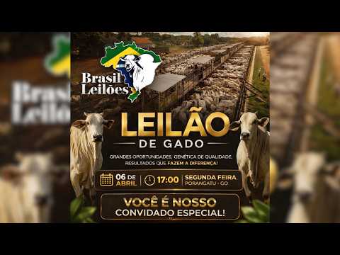 LEILÃO  GADO DE CORTE BRASIL LEILÕES  PORANGATU - GO  06 /04 / 2026