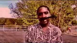 Stop New World Order