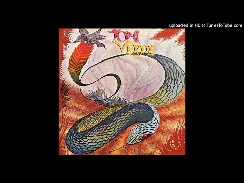 LYSERGICFUNK : Fluido - Toni Verde