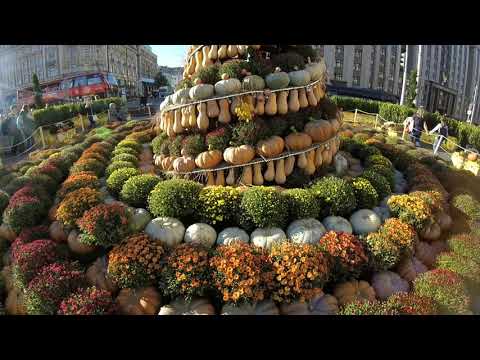 Парк Зарядье.Москва.
