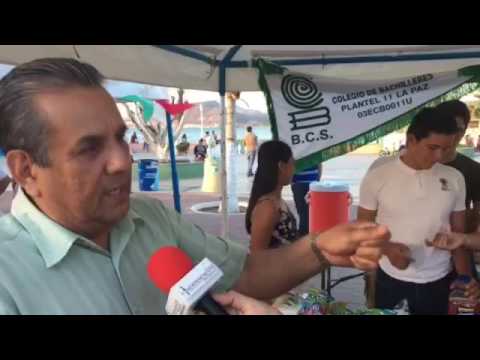 Trabajos de alumnos de las diferentes preparatorias de La Paz