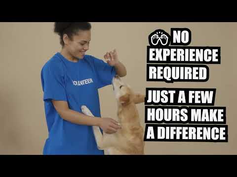 Alireza Ghorbani   MM110 Project