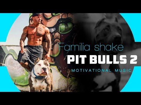 Familia Shake - Pit Bulls 2   (Prod. Zion D)