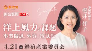 【国会中継】「洋上風力の課題　事業撤退、外資、電気代」参議院議員 櫻井祥子  国会質疑 令和8年4月21日 参政党