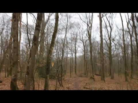 Falk0ra - △constructor△