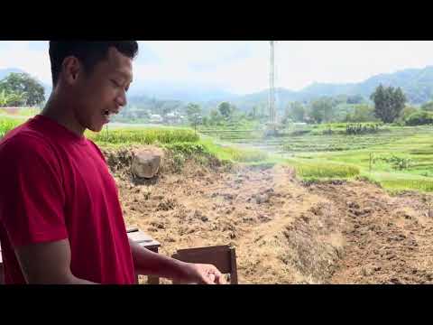 TELUR DINO 1 PACK ISI 12 PCS 