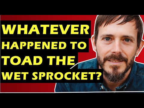 Thumbnail for Toad The Wet Sprocket: Whatever happened to the band behind Fear, All I Want & Walk on the Ocean by Randy Guss