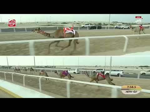 ش 13 (حشيمه) لـ عتيق سالم عبيد بالعرطي الحميري 12:25:54 ، مهرجان ختامي الشحانية 2026/04/27 حول