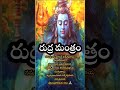 Rudra Mantra Shiv Rudra Shorts