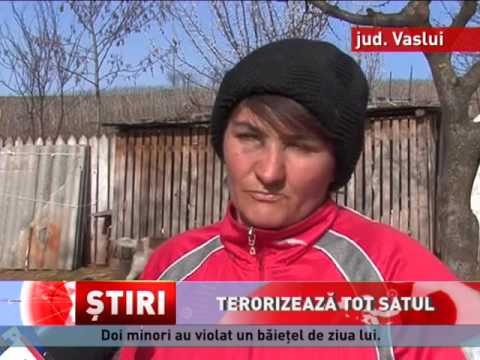 Doi violatori minori terorizează un sat din Vaslui