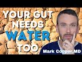 Dehydration Affects on Gut Health