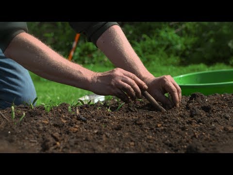 download lagu mp3 mp4 Waxy Potatoes Nz, download lagu Waxy Potatoes Nz gratis, unduh video klip Waxy Potatoes Nz