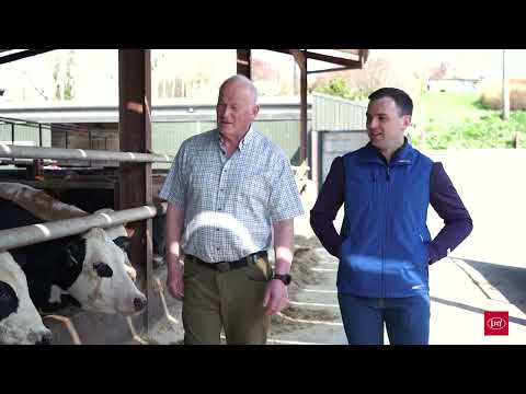 Lely Vector | Mazzoleni Ireland Trial Farm | Beef Unit in Munster