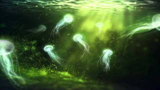 aurveda project - lullaby