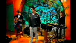 Terry Hall - Sense - Live